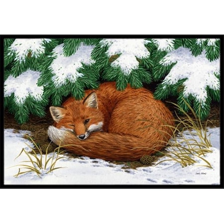 Carolines Treasures Carolines Treasures ASA2185JMAT Naptime Fox Indoor or Outdoor Mat; 24 x 36 ASA2185JMAT